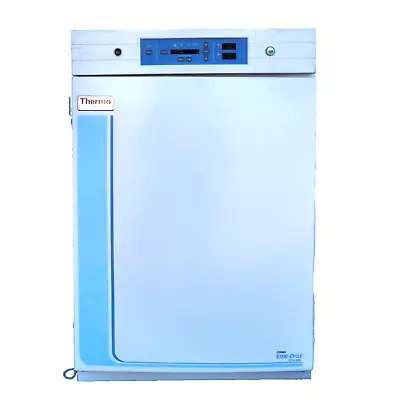 Buy Thermo Scientific Forma 370 Steri Cycle CO2 Incubator SOLD AS IS • 1,949.99$