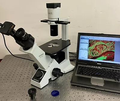 Buy Olympus CKX31 Inverted Phase Contrast Microscope • 3,250$