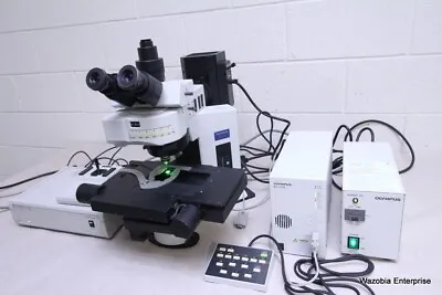 Buy Olympus Bx61 Fluorescence Microscope With Prior H101aibx Motorrized Stage Bx61tr • 15,995$