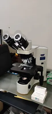 Buy Olympus BX41 TF Biological Microscope • 4,000$