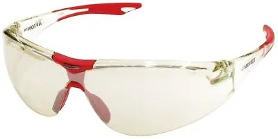 Buy Delta Plus Avion Safety Glasses Red Temple Tip Indoor/Outdoor Lens • 8.99$