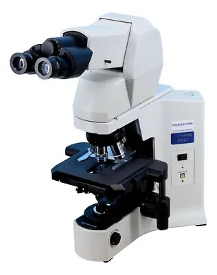 Buy Olympus BX41 Hematology Microscope W/ 50x Oil - Tilting Telescoping • 5,650$