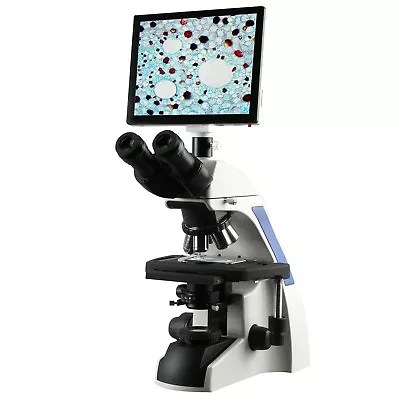 Buy AmScope 40X-2500X Plan Infinity Laboratory Compound Microscope With LCD Touch Pa • 1,613.99$
