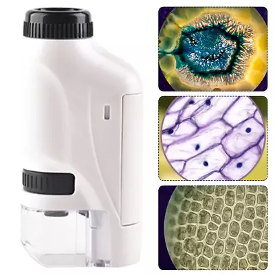 Buy  LED Light Portable Microscope Handheld Microscope Kit 60-120X Pocket Microscope • 15.15$