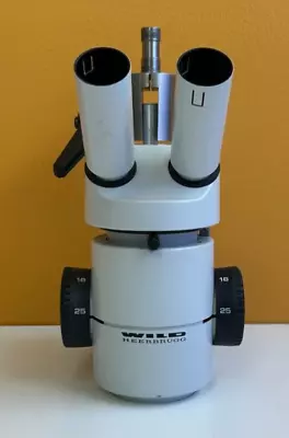 Buy Wild Heerbrugg M8 6x-50x, 8.3 Zoom, 45° Incline, Stereozoom Microscope. Tested! • 599$