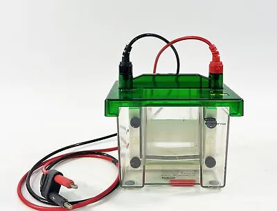 Buy Bio-Rad Mini-PROTEAN II 2  Cell System With Tank & Cables *Parts/Repair* • 139.99$