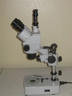 Buy Microscope  Zoom Stereo • 650$