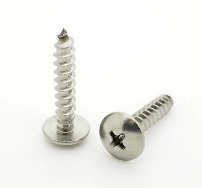 Buy 100 Qty #10 X 1  Truss Head 304 Stainless Phillips Head Wood Screws (BCP97) • 17.40$
