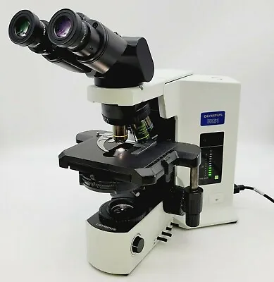 Buy Olympus Microscope BX51 With Fluorites, Phase Contrast, & Tilting Binocular Head • 6,995$
