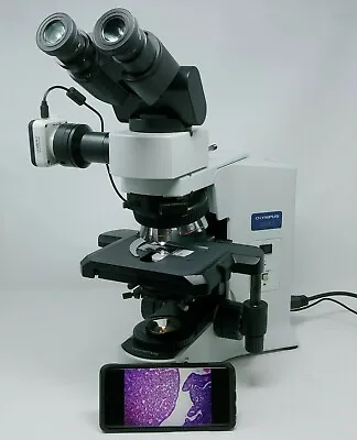 Buy Olympus Microscope BX41 With 2x, 60x, And Camera • 6,250$
