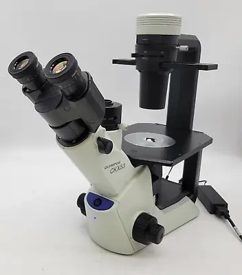 Buy Olympus Microscope CKX53 Inverted With Phase Contrast • 4,950$