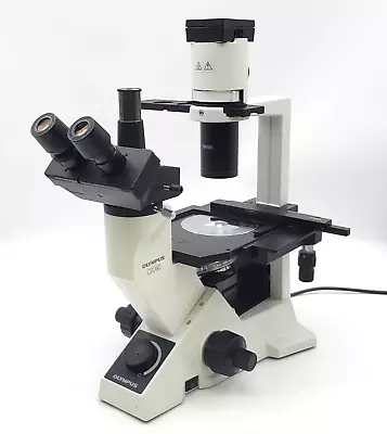 Buy Olympus Microscope CK40 With Phase Contrast And Trinocular Head • 2,925$