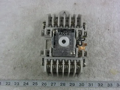 Buy Asco 917 Siemens CLM 8P 120V Coil Lighting Contactor Relay, Used • 186.95$