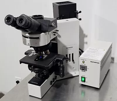 Buy Olympus BX60 BX60F5 Fluorescence DIC Microscope • 9,449$