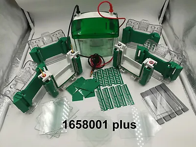Buy OEM Bio-Rad Mini-PROTEAN Tetra Cell 4-gel 1.0mm10-well #1658001 Plus • 1,119$