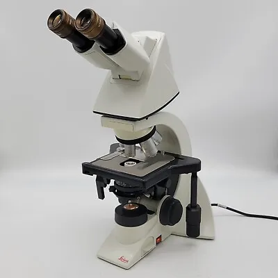 Buy Leica Microscope DM1000 With Tilting Head & 2.5x Objective For Pathology / Mohs • 4,495$