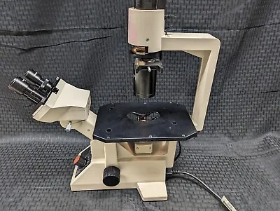 Buy Olympus CK2 Phase Contrast Microscope, 10/20/40x Objectives, USED, 2 In Stock • 600$