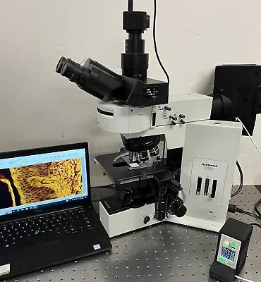 Buy Olympus BX50 LED Fluorescence Microscope 5MP Camera And Laptop • 7,250$
