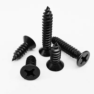 Buy Black 304 Stainless Steel Phillips Flat Countersunk Head Self Tapping Wood Screw • 4.29$