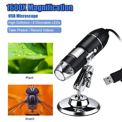 Buy 1600X 8LED USB Digital Microscope 8LED Magnifier Camera Handheld Magnifier Q1V7 • 14.99$
