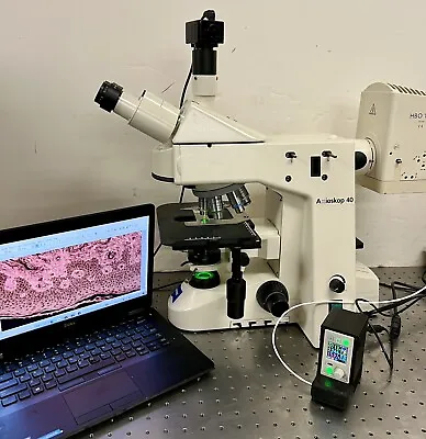 Buy Zeiss Axioskop 40 FL Broadband LED  Fluorescence  Microscope Cam + Laptop • 7,650$