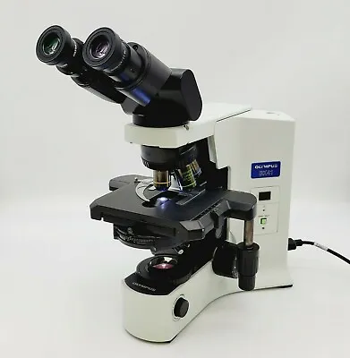 Buy Olympus Microscope BX41 With Fluorites, Phase Contrast, & Tilting Binocular Head • 6,495$