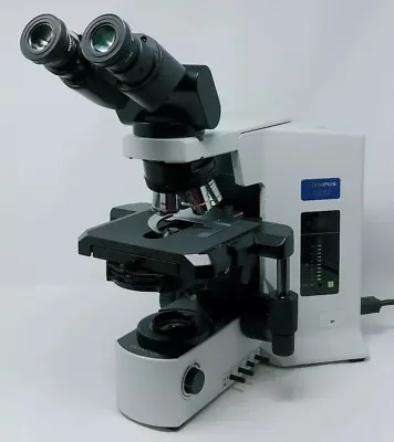 Buy Olympus Microscope BX51 With Phase Contrast And Tilting Binocular Head • 6,650$