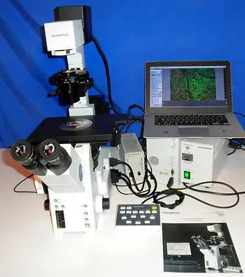 Buy Olympus IX81 F-3 Microscope Inverted Fluorescence Automated Live Cell Microscope • 18,750$