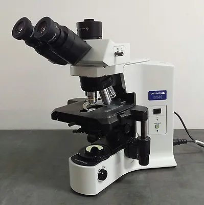 Buy Olympus Microscope BX41 With Trinocular Head And 100x • 5,445$