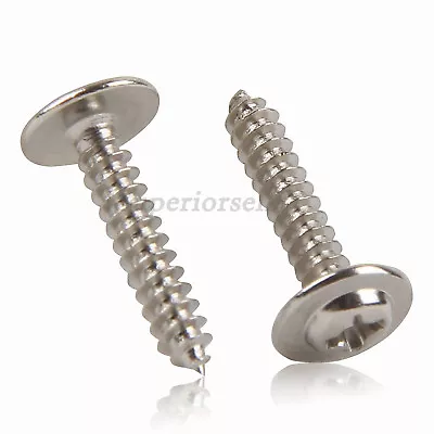 Buy Phillips Modified Truss Head Sheet Metal Wood Self Tapping Screws 304 Stainless • 6.15$