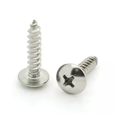 Buy 100 Qty #8 X 3/4  Truss Head 304 Stainless Phillips Head Wood Screws (BCP223) • 12.15$