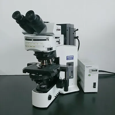 Buy Olympus Microscope BX51 With DIC, Fluorescence And Plan Apos • 18,900$