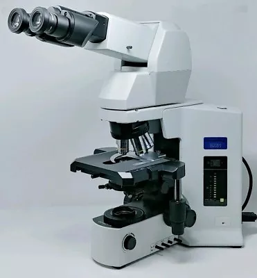 Buy Olympus Microscope BX51 With Tilting Telescoping Head • 6,650$