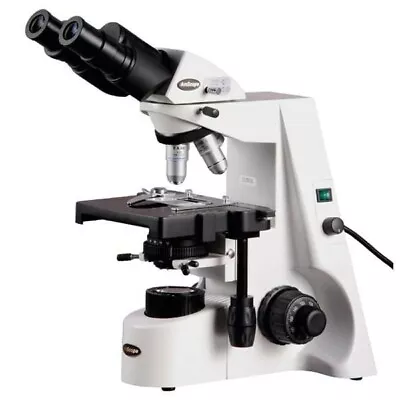 Buy Amscope 40X-1000X Binocular Koehler Illumination Microscope With Plan Optics • 542.29$