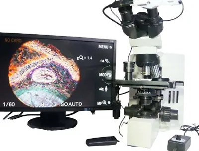 Buy Olympus BX40 Biological Microscope, Objective Lensx4, Digital Camera, Monitor • 2,375$
