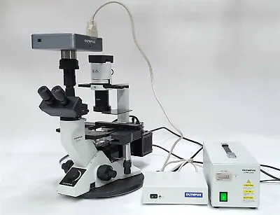 Buy Olympus CK40 Inverted Phase Contrast Microscope+CH3-TR45+4/10/20/40X+CCD CAMERA • 2,099.98$