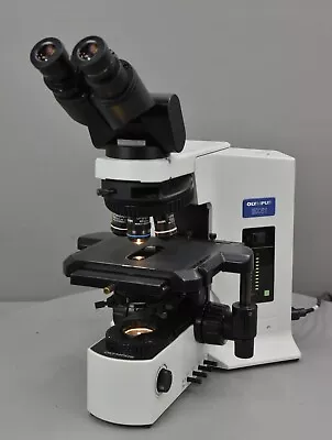 Buy Olympus BX51 Upright Microscope BX51TF W/ 40x & (2) 100x Objectives • 4,250$