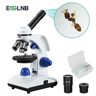 Buy 1000X Biological Microscope Coarse And Fine Focus Adjustment W/ Slides Kids Gift • 74.90$