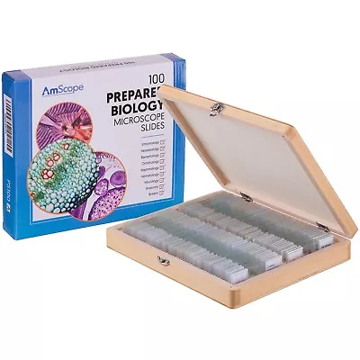 Buy AmScope PS100D 100 Anatomy Botany Prepared Microscope Slides - Set D • 59.99$