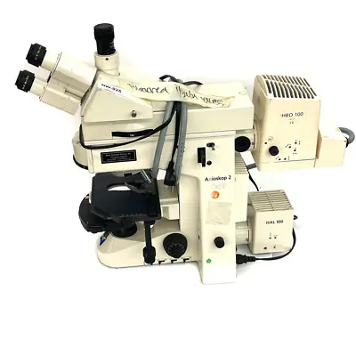 Buy Zeiss Axioskop 2 Trinocular Microscope W/ HAL 100 And HBO 100 Illuminating Sys. • 4,760$