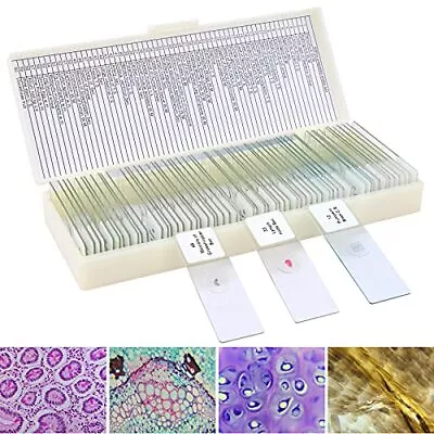 Buy 60 Microscope Slides With Specimens For  Prepared Microscope Slides For Micro... • 28.39$