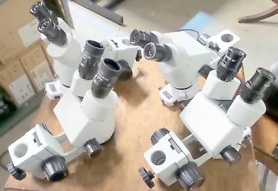 Buy Lot Of 4 Amscope Microscopes. One Has C-w10xb/22, 3 Have Wf10/20. All Have Light • 1,000$
