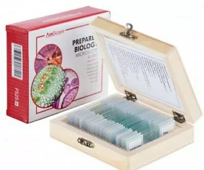 Buy 25pc Prepared Glass Microscope Slides In Wood Case With Plant, Fungus, Insect... • 15.99$