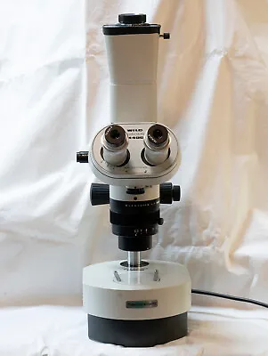 Buy M400 WILD LEICA Makroskop Transmitted Light Darkfield   SCHOTT FOSTEC RINGLIGHT • 1,449$