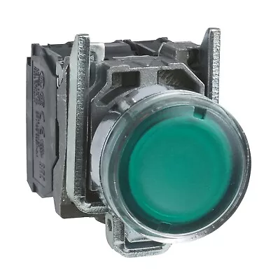 Buy XB4BW33B5 – Green Flush Complete Illum PUSHBUTTON Ø22 Spring Return 1NO+1NC 24V • 50$