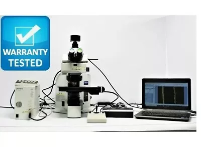 Buy Olympus BX61 Brightfield Fluorescence Motorized Microscope Unit 6 Pred BX63 • 7,000$