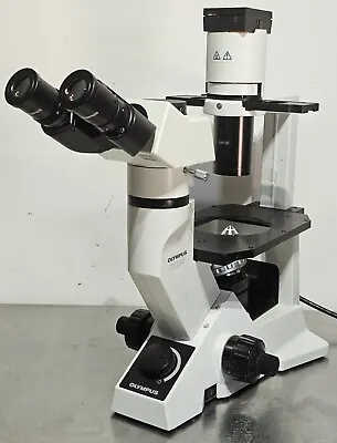 Buy Olympus CKX41 Inverted Phase Contrast Trinocular Tissue Culture Microscope • 2,495$