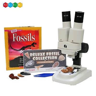 Buy IQCREW By Amscope Kids 20X-50X Portable LED Microscope + Fossil Activity Kit  • 98.99$