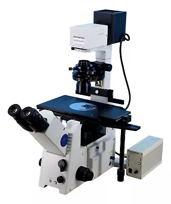 Buy Olympus IX71 Relief Contrast / Hoffman Modulation Inverted Microscope • 17,995$