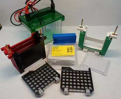 Buy Complete Bio-Rad Mini PROTEAN Gel Electrophoresis & Trans-Blot System • 880$